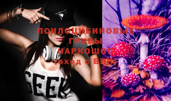 меф Дмитров