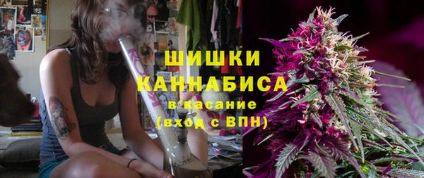 apvp Дмитриев