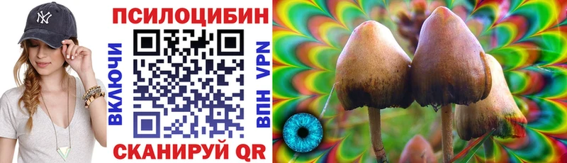 Галлюциногенные грибы Magic Shrooms  Купить  Бакал 
