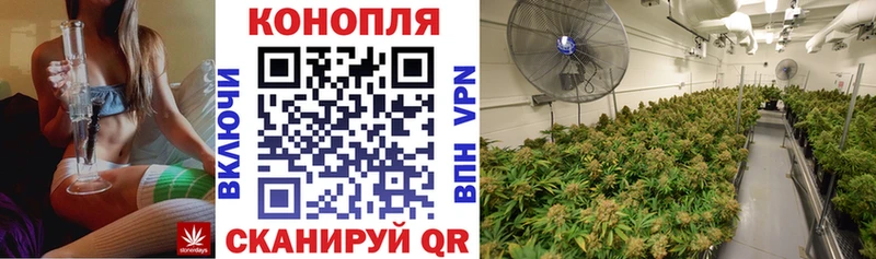 Каннабис семена Бакал